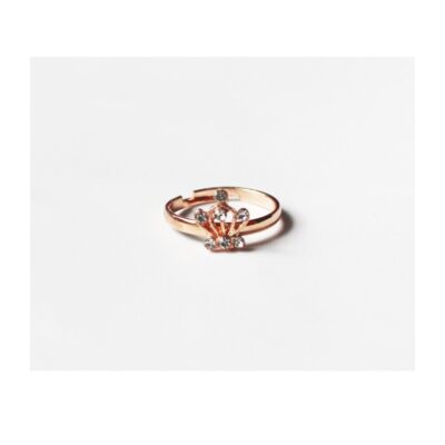 INEL FETITE A1882-26