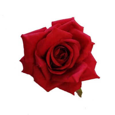 CLAMA / BROSA CE00104-1