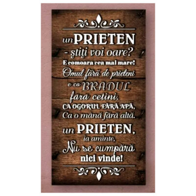 PLACHETA PRIETEN PR100368