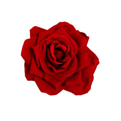 Clama / brosa A1794-1