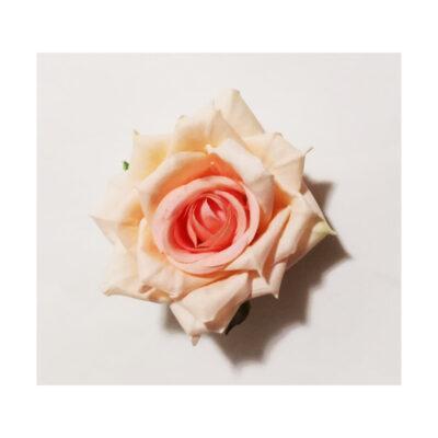 Clama trandafir roz CE00054-4