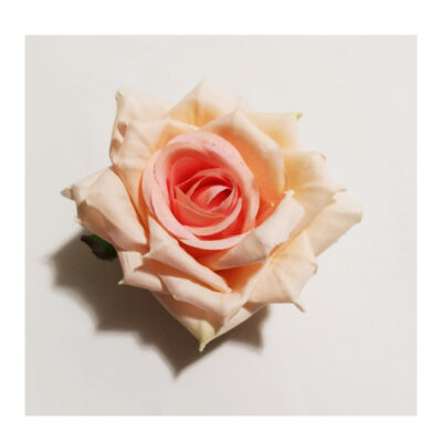 Clama / brosa trandafir roz CE00104-5