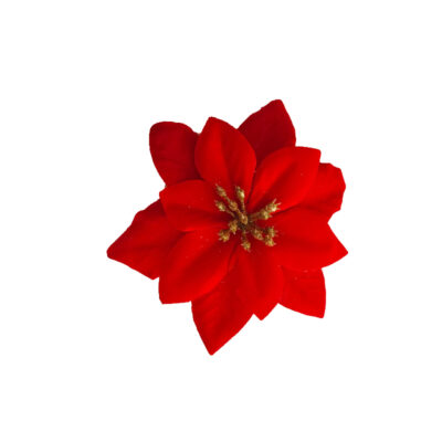 Clama floarea Craciunului 12 cm CE00020-2