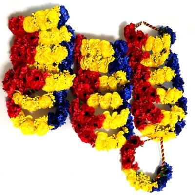 ACCESORII