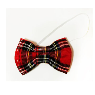 Papion carouri CE00156