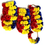 ACCESORII