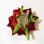 Clama trandafir bordo catifelat 8cm A1985-2 - imagine 2