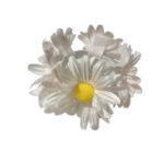 Elastic coc margarete albe