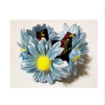 Elastic coc margarete bleu